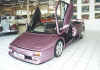 lamborghini_diablo_se30_violett_7713_00_01.jpg (18962 Byte)